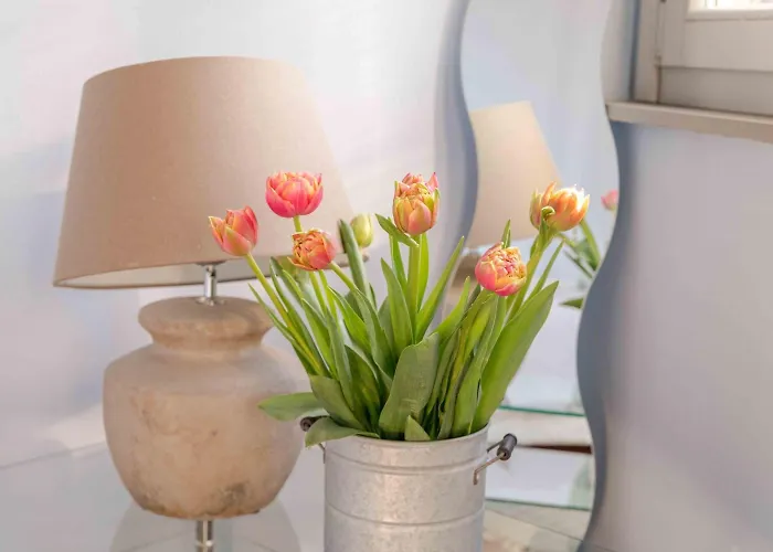 La Maison Oda ve Kahvaltı 3*